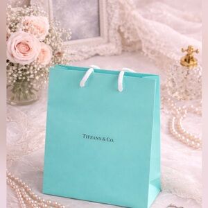 💍 Tiffany & Co. Blue Shopping Gift Bag Authentic Luxury Packaging  Rope Handles